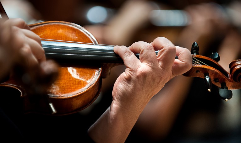 Violin. Photo.